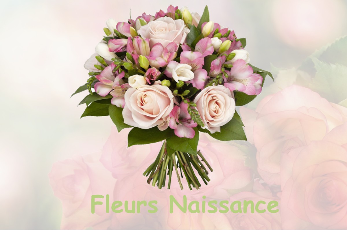 fleurs naissance LOUROUX-DE-BEAUNE